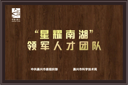 星耀南湖领军人才团队